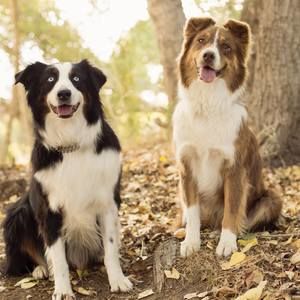 Meet your Posher, Mimi